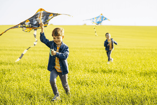 Zapaticos que Vuelan: Una Aventura entre Cometas y Estilo Infantil - PAPOS
